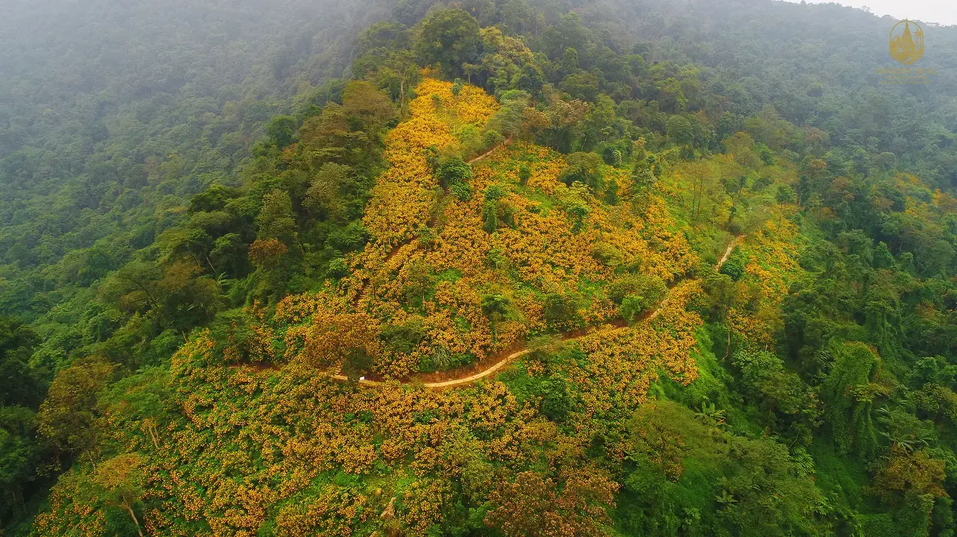 Ba Vi National Park Bird Watching: 2-Day Avian Adventure from Hanoi